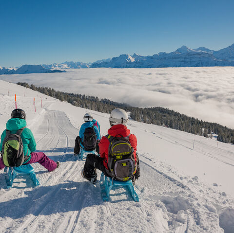 kleine-scheidegg-kinder-schlitteln-eiger-run.jpg