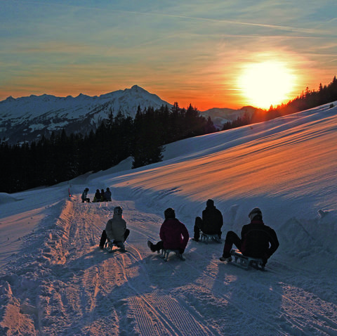 niederhorn-schlitteln-winter-gruppe-sonnenuntergang-niesen-soft-adventure.jpg