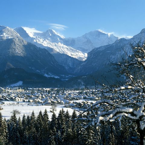 Skifahrer vor Eiger Moench Jungfrau.jpg
