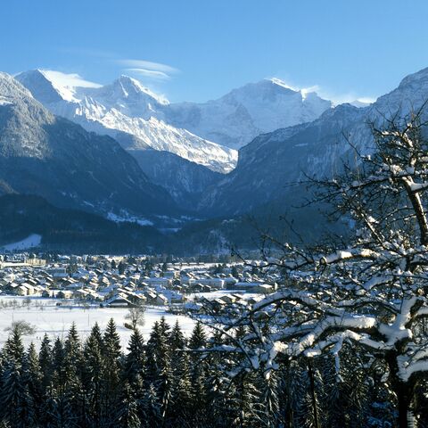 kleine-scheidegg-kinder-schlitteln-eiger-run.jpg