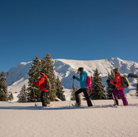 Skifahrer vor Eiger Moench Jungfrau.jpg